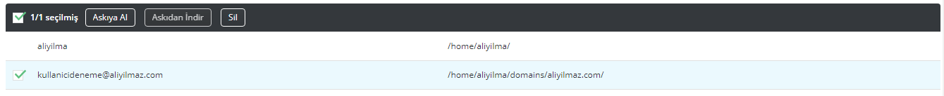 DirectAdmin Hosting FTP Hesabı Silme