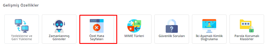 DirectAdmin Hosting Özel Hata Sayfaları Oluşturma 4