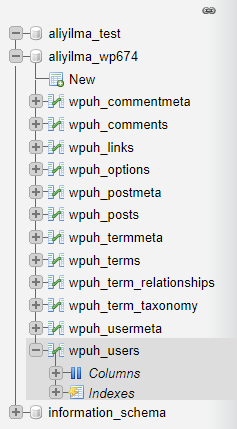 PHPMyAdmin ile Unutulan WordPress Şifresi Değiştirme 5