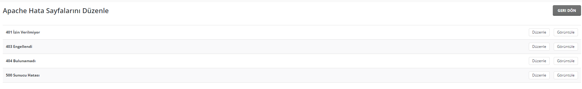 DirectAdmin Hosting Özel Hata Sayfaları Oluşturma 5
