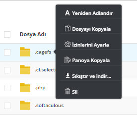 DirectAdmin Hosting Dosya Yöneticisi 6
