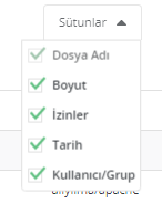 DirectAdmin Hosting Dosya Yöneticisi 8