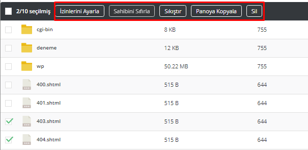 DirectAdmin Hosting Dosya Yöneticisi 9