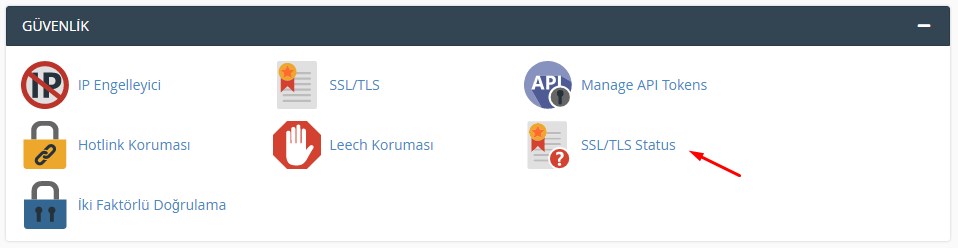 cPanel SSL Sertifikası Kurulumu 2