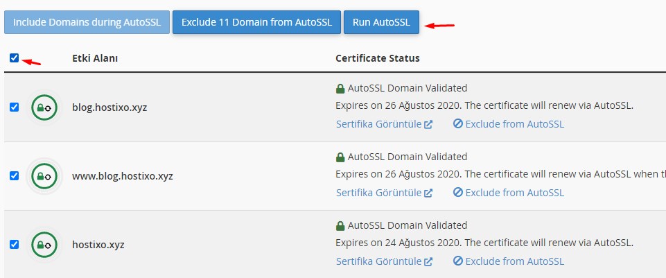 cPanel SSL Sertifikası Kurulumu 3