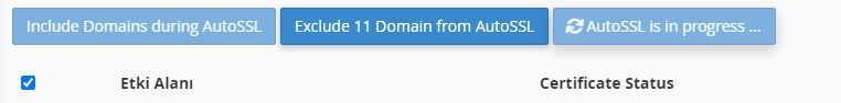 cPanel SSL Sertifikası Kurulumu 4