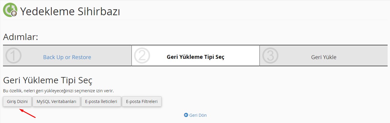 CPanel Restore İşlemi 2