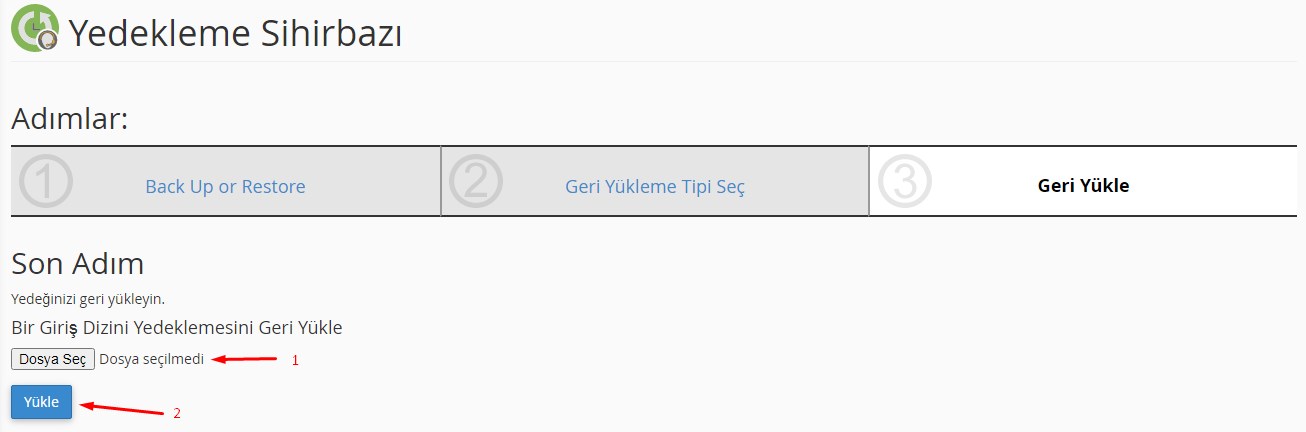 CPanel Restore İşlemi 3