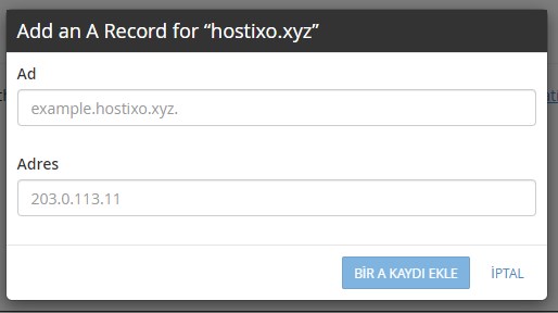 cPanel A Kaydı Ekleme 3