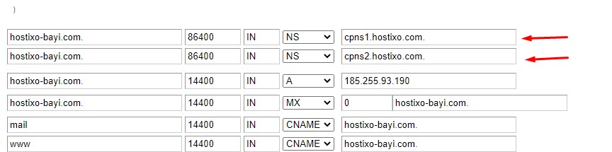 WHM Panelde Özel DNS Ayarları Girmek 4